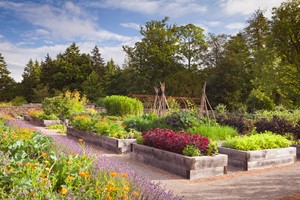 Kitchen Garden Tour and Lunch for Two at Rudding Park, Yorkshire Image 3