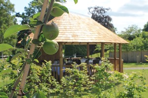 Kitchen Garden Tour and Lunch for Two at Rudding Park, Yorkshire Image 5