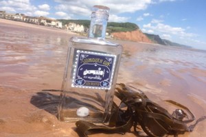 Gin or Rum Making Experience for Two at Sidmouth Gin Image 2