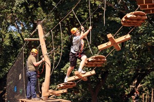 High Ropes for Two with Gripped London Image 3