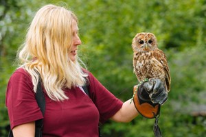 One-Hour Birds of Prey Flying Display for Two at Hobbledown Heath Hounslow Image 4