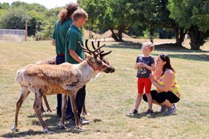 Feed the Reindeer for Two at Hobbledown Heath Hounslow Image 2