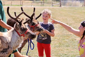 Feed the Reindeer for Two at Hobbledown Heath Hounslow Image 4