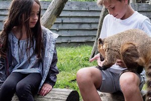 The Zookeeper Experience for Two at Hobbledown Epsom Image 2