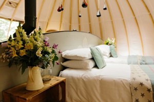 Two Night Glamping Experience for Two at Penhein Glamping picture