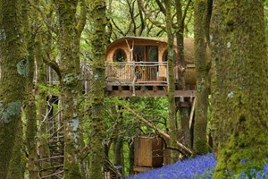 Click to view details and reviews for Two Night Family Treehouse Escape.