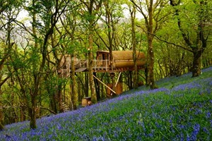 Click to view details and reviews for Two Night Treehouse Escape For Two.