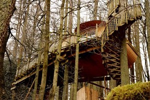 Two Night Treehouse Escape for Two Image 4