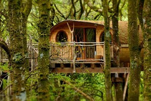 Two Night Treehouse Escape for Two Image 5