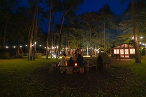 Pinewood Pod Stay for Up To Four with Safari at Port Lympne Hotel and Reserve Image 4