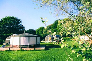 Two Night Escape in a Yurt for Four at The Grove Glamping Image 1