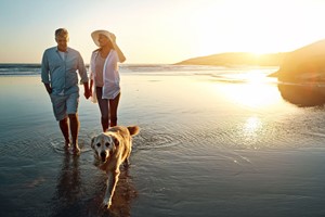 Two Night Dog Friendly Break picture