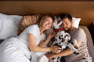 Two Night Dog Friendly Break picture