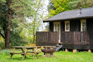 Off Peak Two Night Forest Lodge Stay for Up to Six at Avon Tyrrell picture