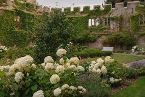 Two Night Gourmet Escape at Thornbury Castle for Two Image 5