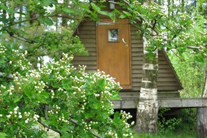 Two Night Break in a Wigwam at Gorsebank Image 3