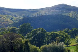 One Night Glamping Break at Rosebud Meadow Image 2