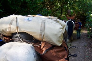 Arabian Wild Camp Break and Pony Walk for Two with The Ancient Trails Company Image 4