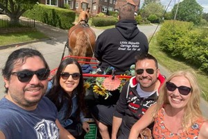 Horse Drawn Carriage Ride for up to Five Image 4