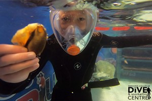 Family Snorkelling and Entry at Skegness Aquarium Image 4