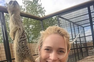 Meerkat Encounter for Two Adults and Two Children at The Animal Experience – Weekdays Image 2