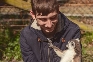 One Hour Meerkat and Lemur Experience for Two at Hoo Zoo & Dinosaur World Image 2