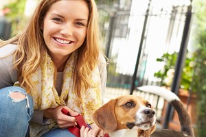 Online Pet Psychology Diploma Course For One