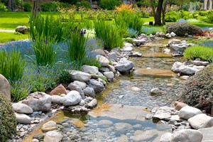 Click to view details and reviews for Online Zen Gardening Course For One.