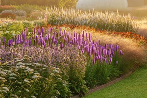 Online Professional Planting Design Course with an Expert for One Image 1