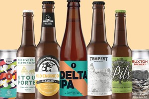 One Month Ten Pack of Beer Subscription to Beer52 for One  Image 5