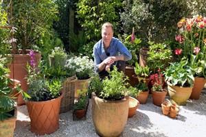 Container Gardening Online Course Taught by Chris Beardshaw Image 1