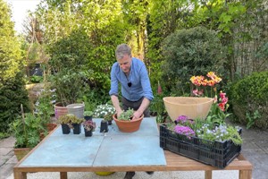 Container Gardening Online Course Taught by Chris Beardshaw Image 2