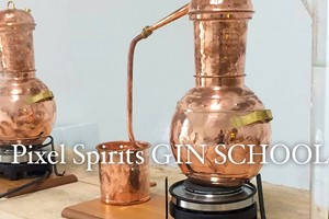 Buy At Home Gin Experience with Live Tasting and Virtual Tour with a Master Distiller from Pixel Spirits