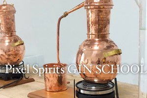 At Home Gin Experience with Live Tasting and Virtual Tour with a Master Distiller from Pixel Spirits Image 1