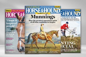12 Months of Horse and Hound Magazine picture