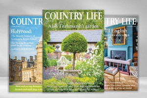 Six Months of Country Life Magazine picture