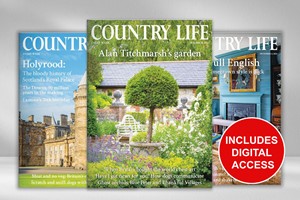 Three Months of Country Life Magazine picture