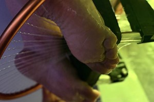Japanese Foot Spa for One at Paco & Co. picture