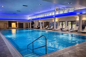 Half Day Spa Day with 30 Minute Treatment and One Course Lunch for Two at Tre Ysgawen Hall picture