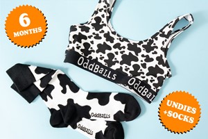 Women's Bralettes Six Month Subscription with OddBalls Apparel picture
