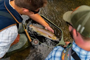 Full Day Private Fly Fishing Tuition for Two with Wilde Trout picture
