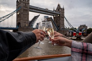 Festive Two Course Evening Dinner Cruise for Two on the River Thames picture