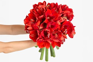 Six-Month Luxury Flower Subscription from Arena Flowers Image 3