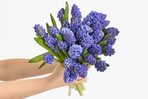 Three-Month Luxury Flower Subscription from Arena Flowers Image 5