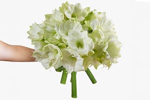 Six-Month Luxury Flower Subscription from Arena Flowers Image 4