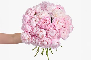 Three-Month Luxury Flower Subscription from Arena Flowers Image 3