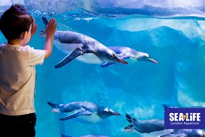 SEA LIFE London Aquarium Entry Tickets for Two picture