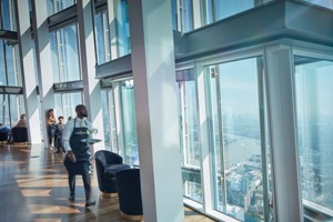 The View from The Shard for One Image 3