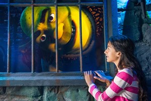 Click to view details and reviews for Dreamworks Tours Shrek’s Adventure London Entry Tickets For Two.