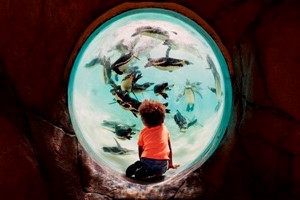 Click to view details and reviews for Entry To London Zoo For One Child.